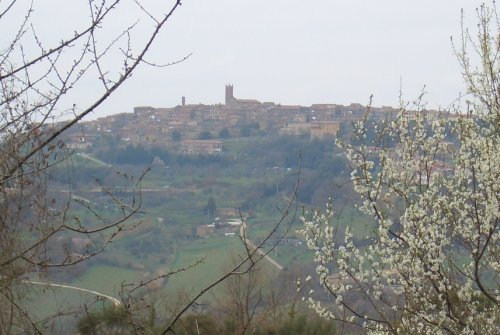 Radicondoli's landscape